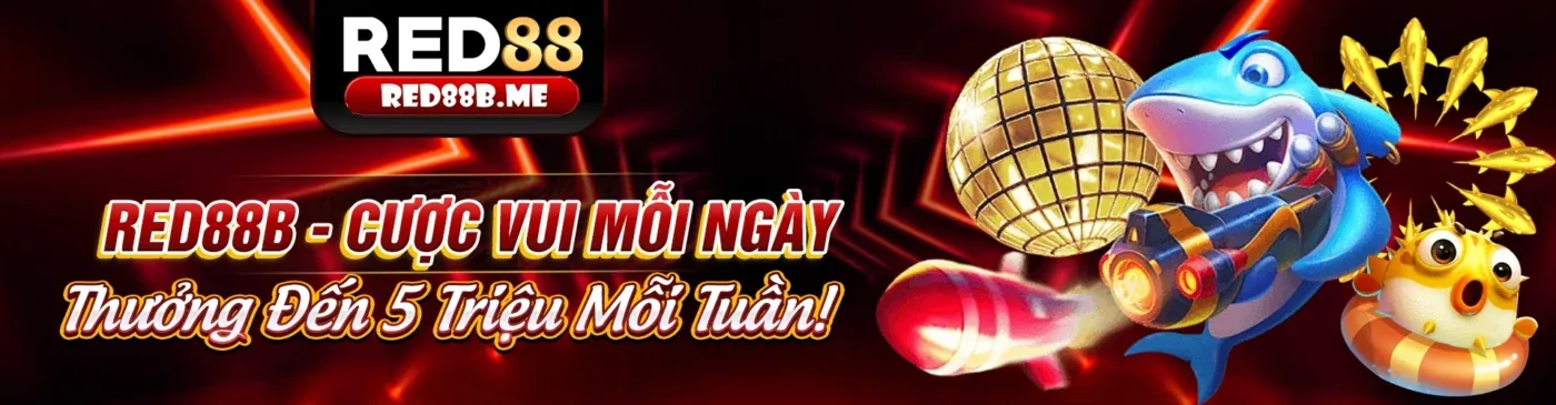 Thế giới bắn cá 8kbetcc đăng nhập sôi động